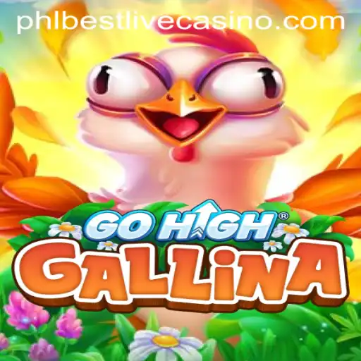 Exploring GoHighGallina: The Rising Star in Interactive Gaming